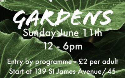 St Mary’s Open Gardens – Charity Fundraising